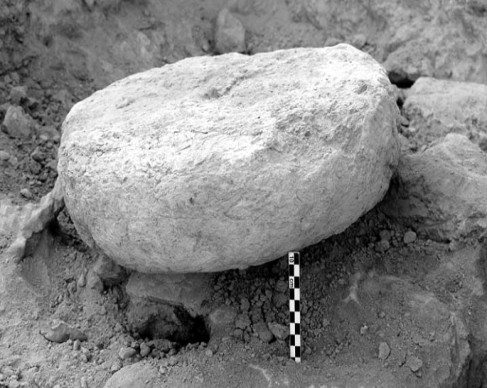 چرخی به قدمت تاریخ