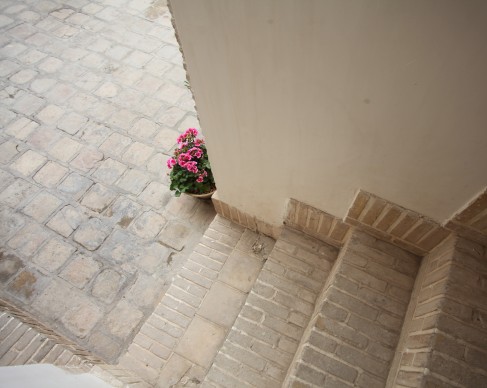 به‌سانِ پرنده که با بهار