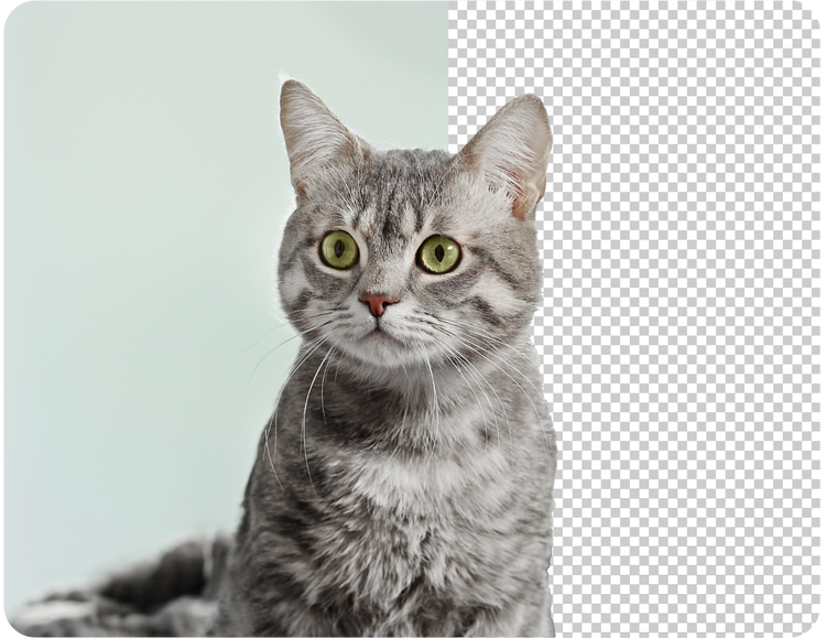 1676217278-media_1b0ad89a4a5ad233f5708e21b5998d6638cb07929.png